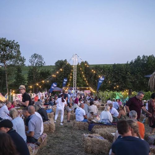 Sommerabend im Weingarten mit Lichterketten und Publikum