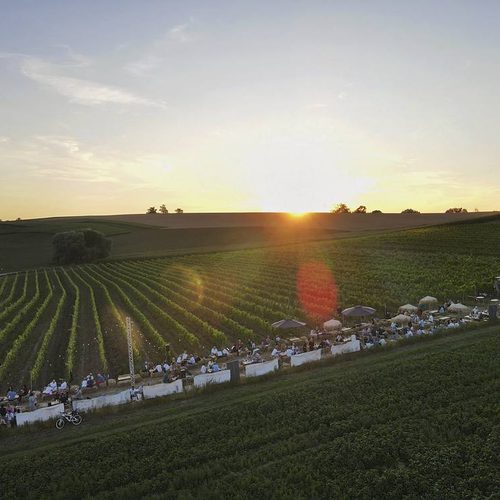 Sommerabend im Weingarten mit Lichterketten und Publikum