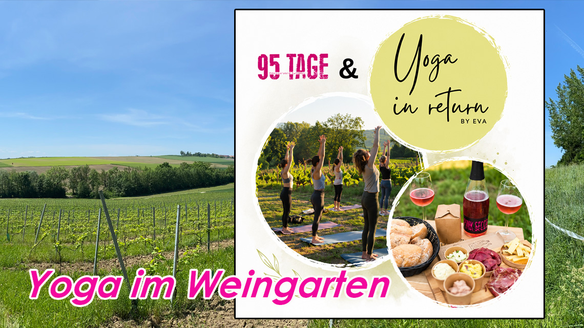 Yoga im Weingarten | Yoga & Picknick bei 95 Tage