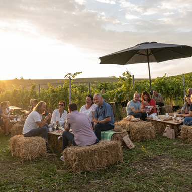 Weingarten-Eventbereich von 95Tage bei Sonnenuntergang in Oberösterreich