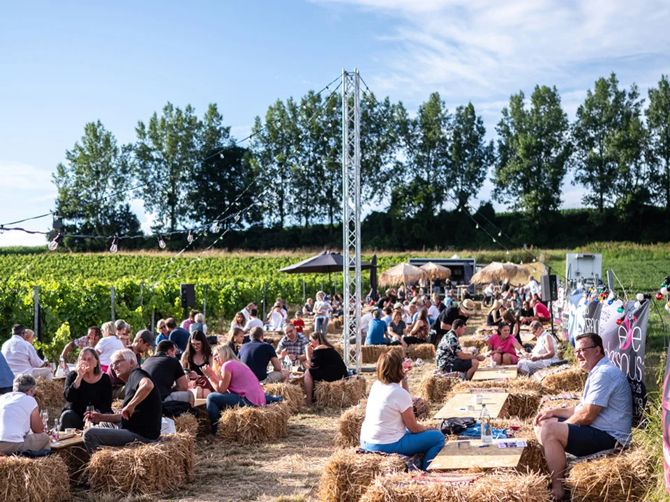 Veranstaltungern im Weingarten von 95tage Wienbau Eschlböck in Gumpolding