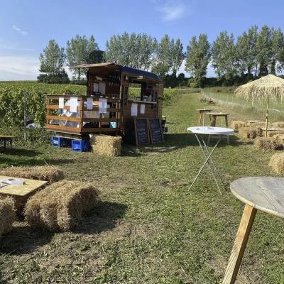 Mobile Bar beim Live im Weingarten von Weinbau Eschlböck