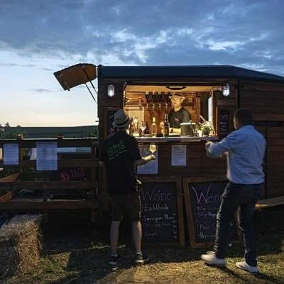Sommerliche Dämmerung im Weingarten mit dem baranhänger im Vordergrund