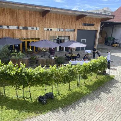 Blick in den Innenhof und Gastgarten von Weinbau Eschlböck