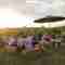 This image for Image Layouts addon