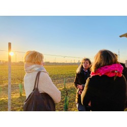 Tatarenhut-Dinner im Weingarten für 10 Personen