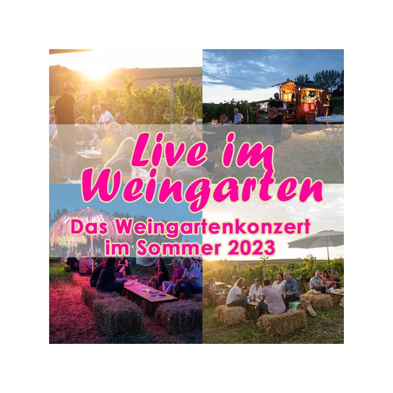 Sommer, Sonne, coole Musik und das alles an einer einzigartigen Location inmitten des 95Tage Weingartens.