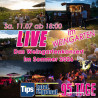 LIVE im Weingarten