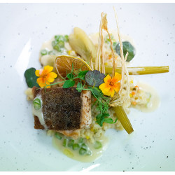 Haubenkoch Hermann Poll zaubert das Genussmenü bei Weinbau Eschlböck