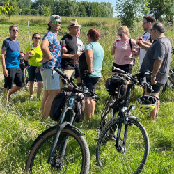 Wine Adventure Geschenkgutschein – Weinerlebnis in Oberösterreich